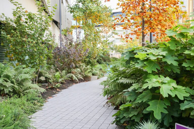 a brick path with plants and trees