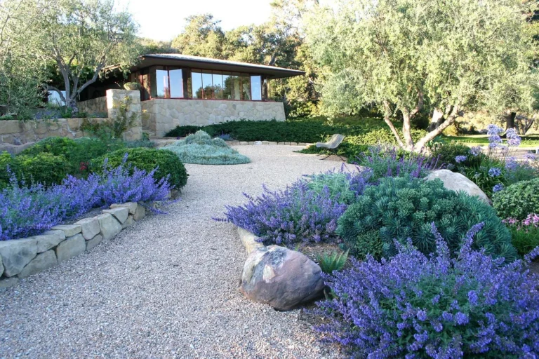 Drought Tolerant Garden