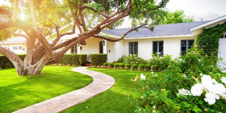 Easy Garden Landscaping