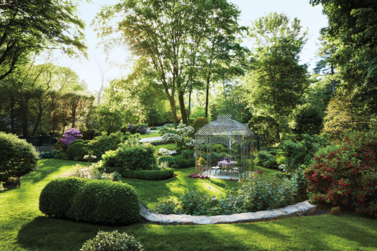 Modern Garden Design